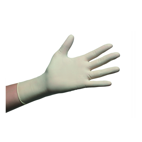 Examination Gloves Powder Free