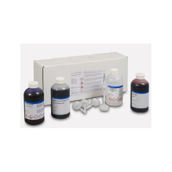 Gram Stain Set