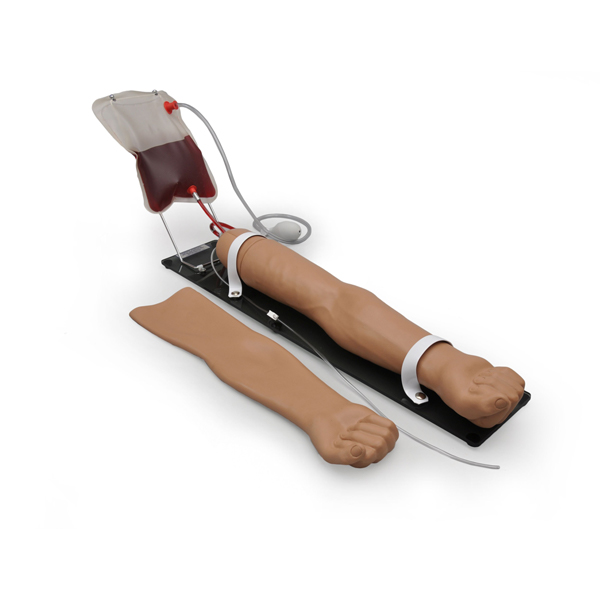 Adult Injection Arm Trainer